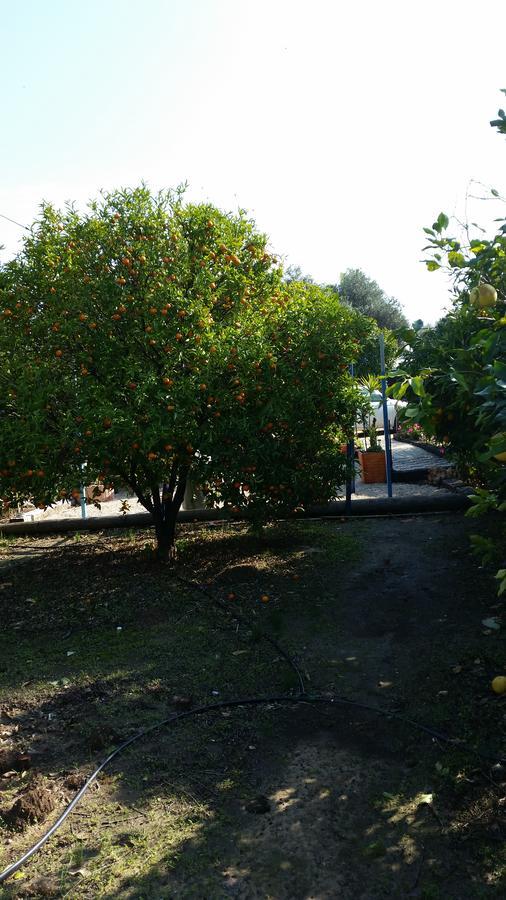 Asbn Magic Garden Villa Acre Exterior photo