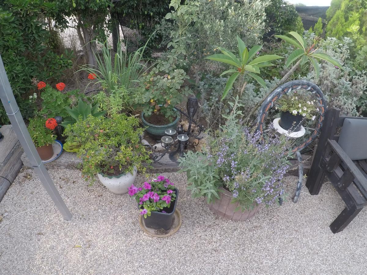 Asbn Magic Garden Villa Acre Exterior photo
